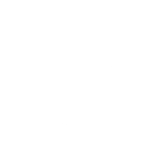 bairacorp logo